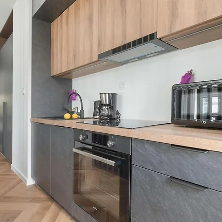 Stylish With Air Condtioning By Renters Prestige Apartment Lodz (Lodz)