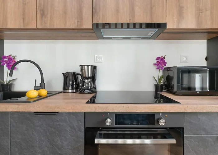 公寓 Stylish With Air Condtioning By Renters Prestige 罗兹